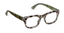 Gray Tortoise/Olive Picnic
